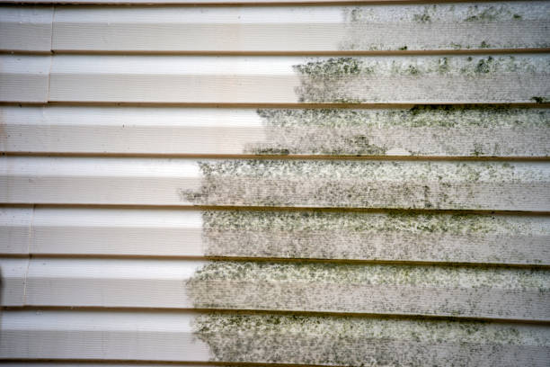 Best Weatherproofing and Sealing  in Martinsville, NJ