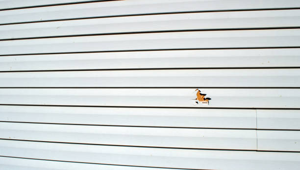 Affordable siding repair and maintenance services in Martinsville, NJ